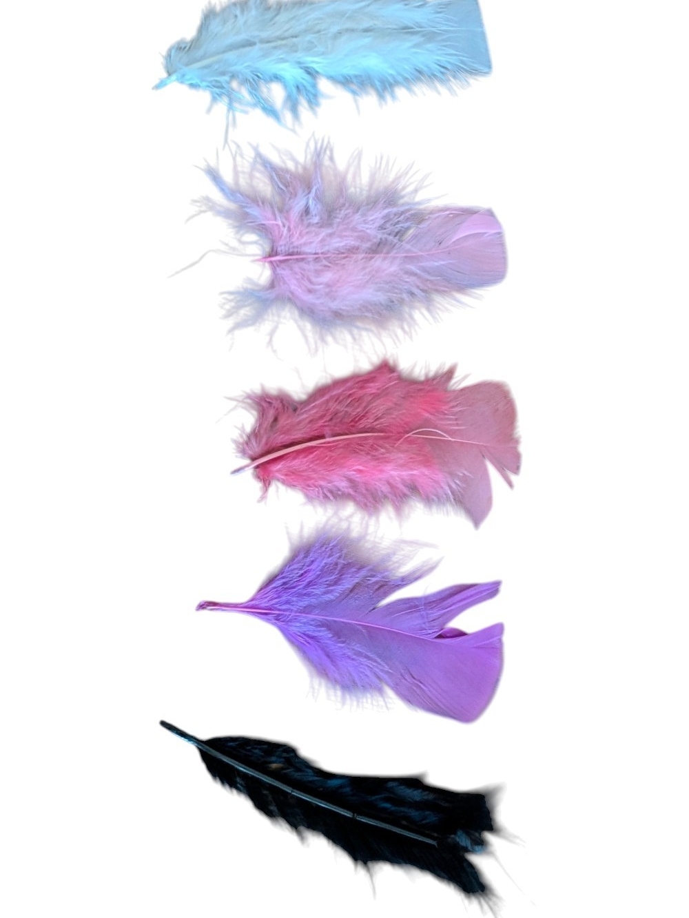 Assorted Colored Craft Feathers